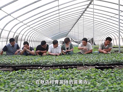 搭台引凤——山东省聊城...