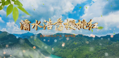 灞水浩荡樱桃红7