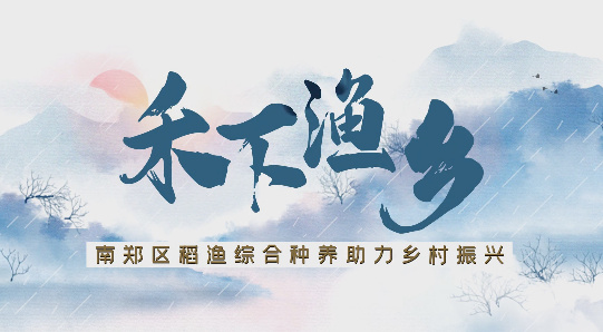 禾下渔乡4