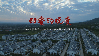 甜蜜的蜕变5