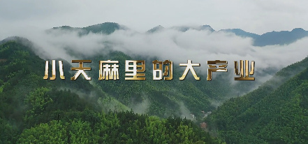 小天麻里的大产业8