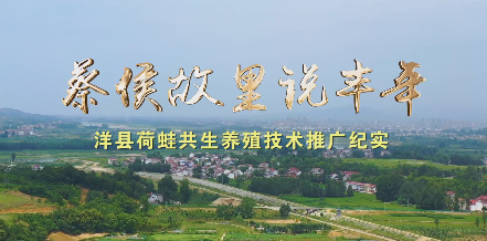 蔡侯故里说丰年7