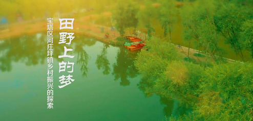 田野上的梦5