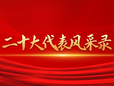 二十大代表风采录 中直 ...