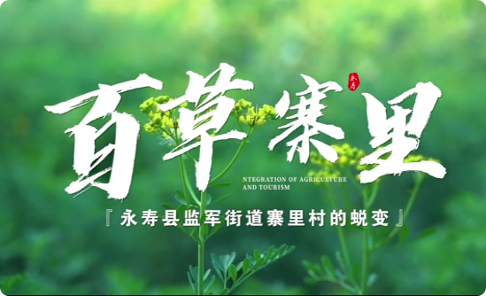 百草寨里4