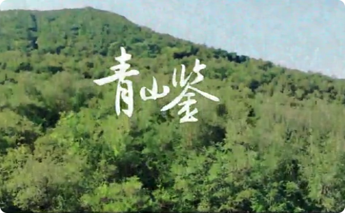 青山鉴3