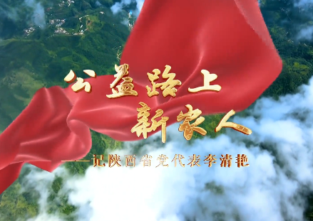 公益路上新农人