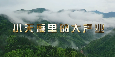 小天麻里的大产业
