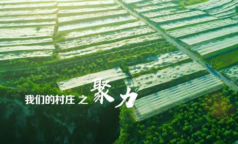 我们的村庄之聚力8