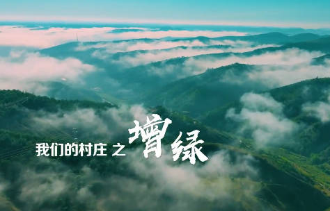 我们的村庄之增绿8