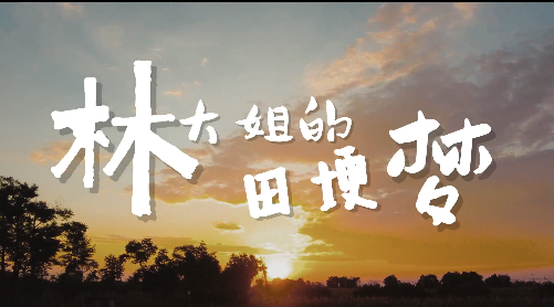 林大姐的田埂梦7