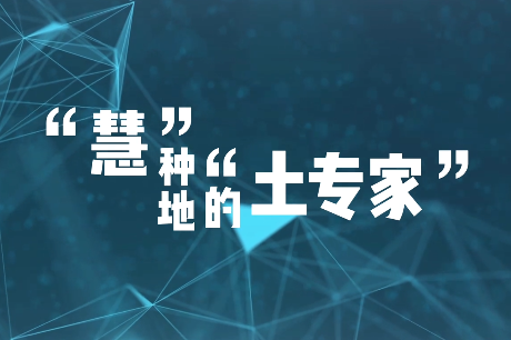 “慧”种地的“土专家”11