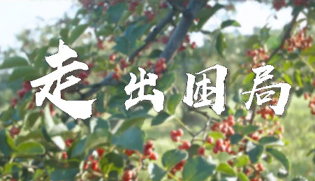 走出困局4
