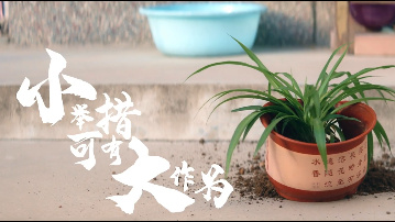 小举措可有大作为8