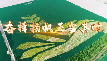 奋楫扬帆正当其时