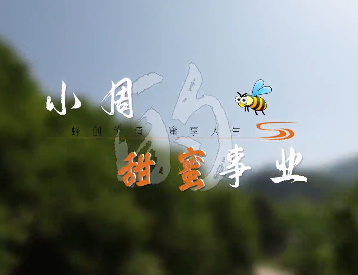 小周的甜蜜事业7