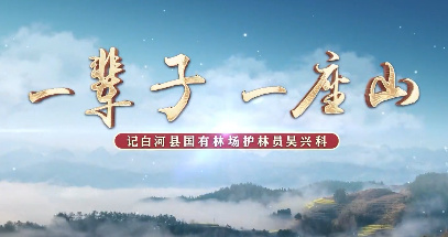 一辈子一座山6