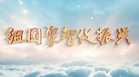 组团聚智促振兴