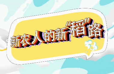 【8090新农人】安康市旬...25
