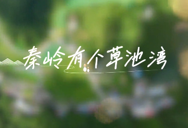 秦岭有个草池湾
