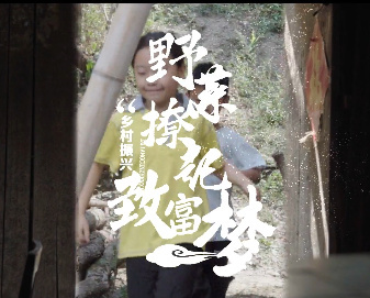 野菜撩起致富梦
