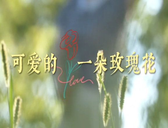 可爱的一朵玫瑰花