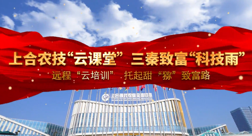 上合农技“云课堂” 三...
