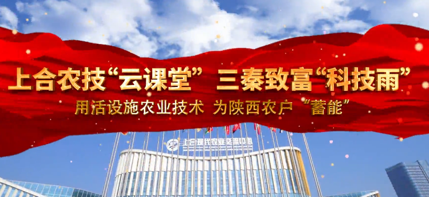 上合农技“云课堂” 三...