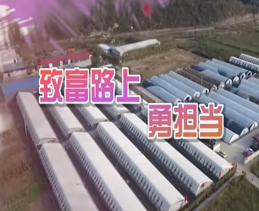 致富路上 勇担当