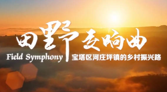 田野交响曲5