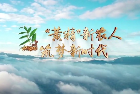 “黄精”新农人 筑梦新时13