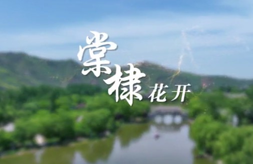棠棣花开