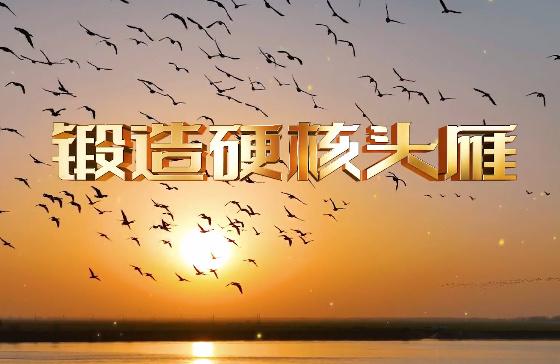 锻造“硬核头雁”8