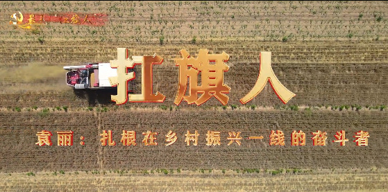 扛旗人3