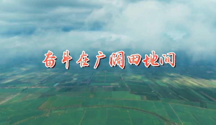 奋斗在广阔田地间8